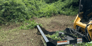 Brush Hogging and Land Clearing