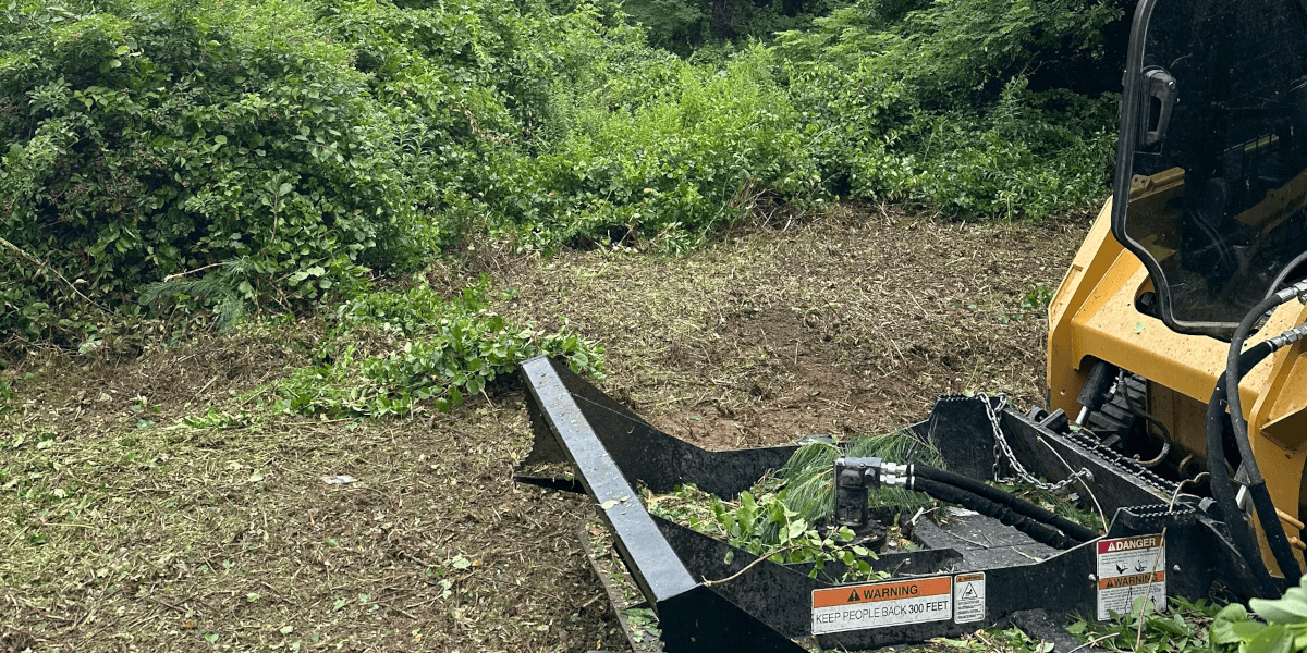 Brush Hogging in New York Capital Region