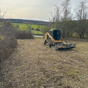 Brush Hogging in Capital Region
